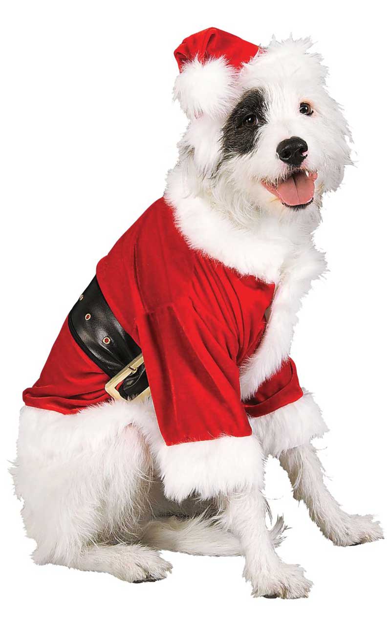 Santa Claus Pet Costume - Fancydress.com