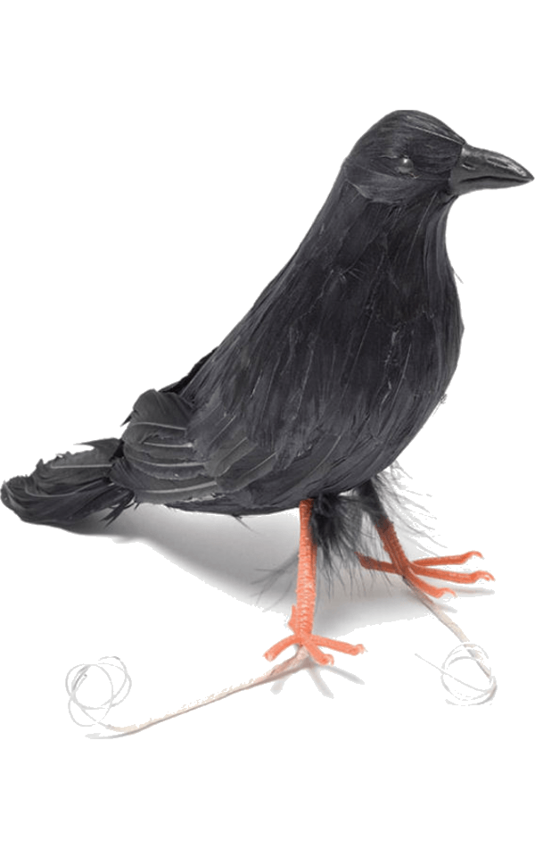 Black Crow Prop Accessory