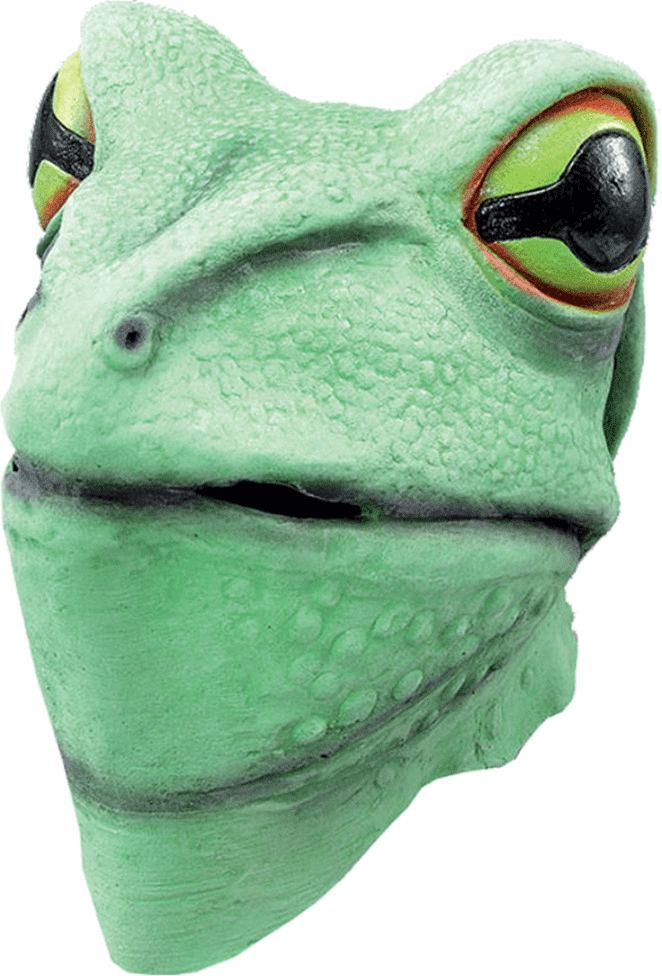 Latex Frog Facepiece