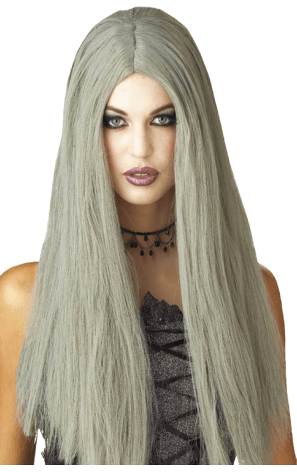 Long Grey Wig