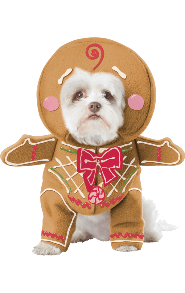 Walking Gingerbread Dog Costume