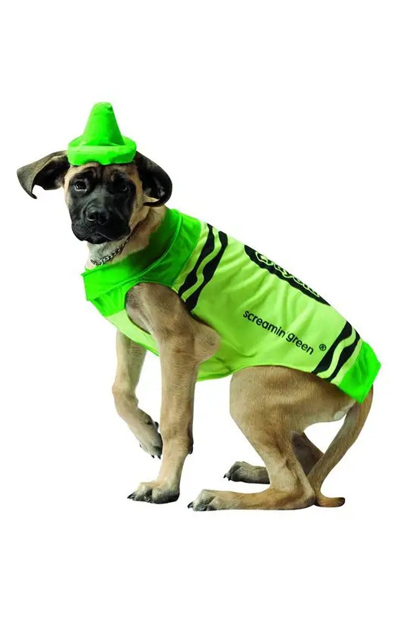 Green Crayola Dog Costume - Fancydress.com