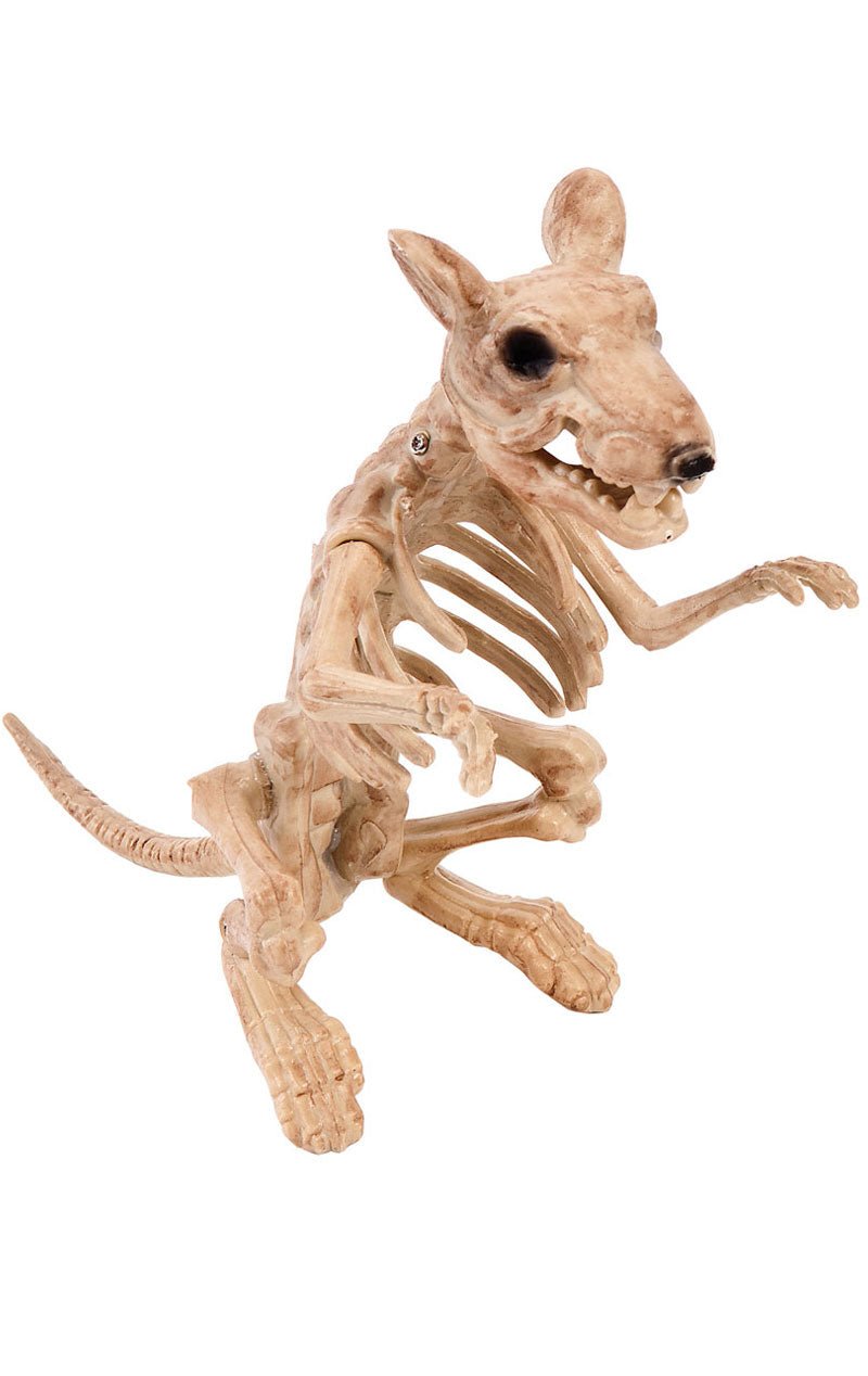 Skeleton Rat Decoration - Fancydress.com