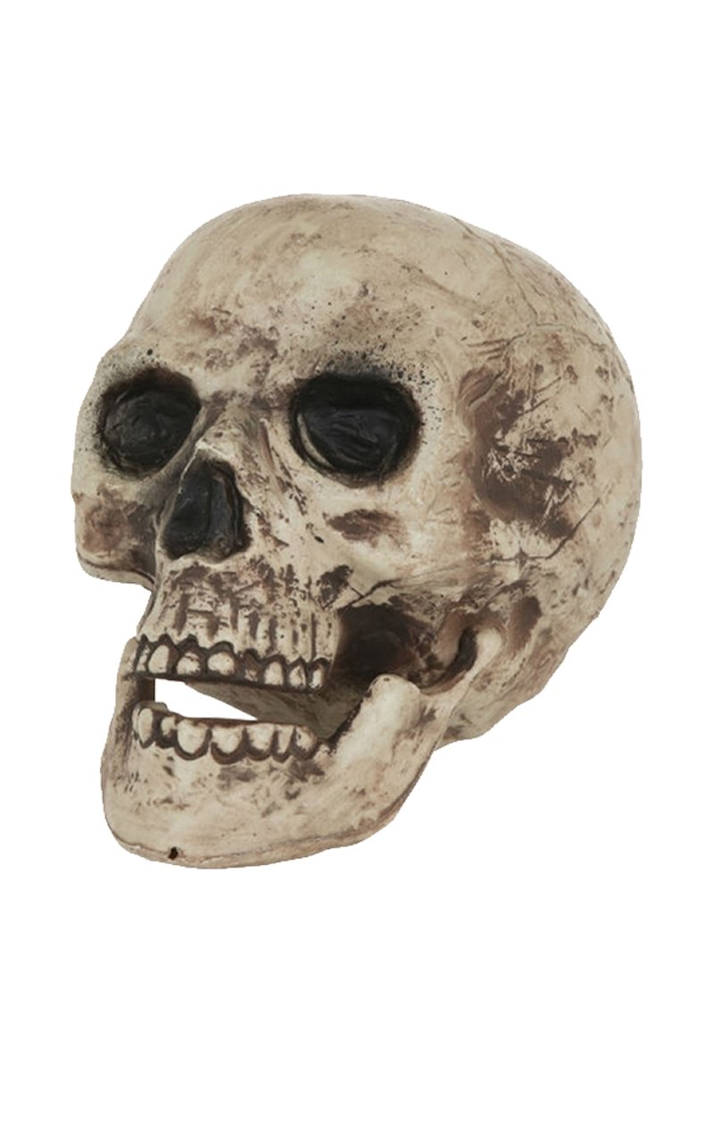 Skull Halloween Decoration - Fancydress.com
