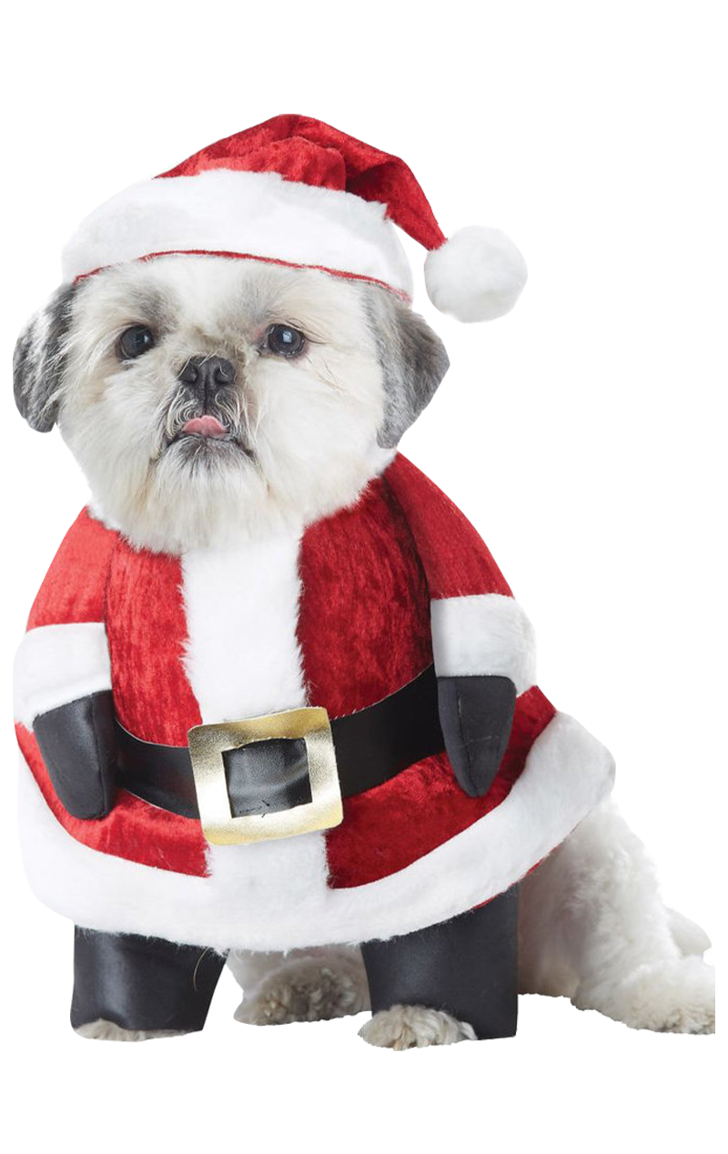 Santa Paws Christmas Dog Costume