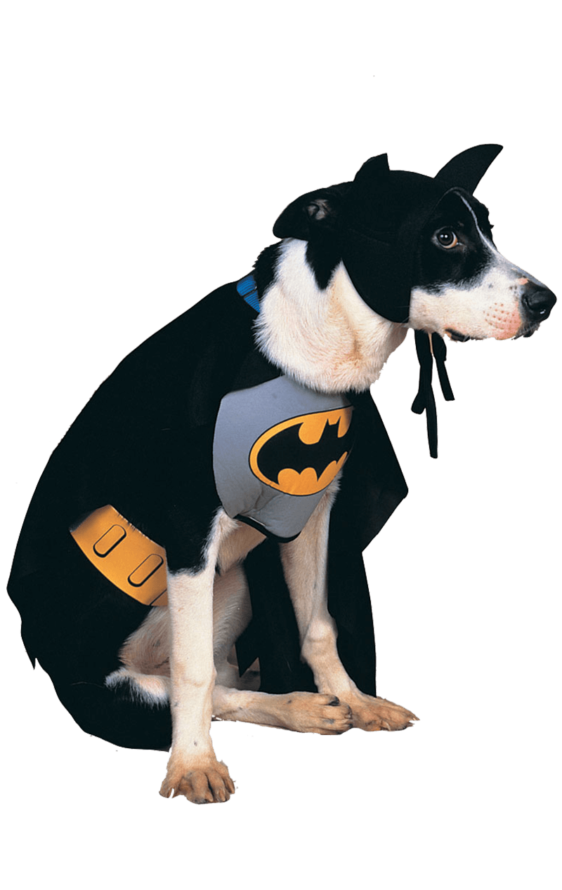 Déguisement Batman pour chien