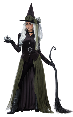 Womens Green And Black Witch Costume