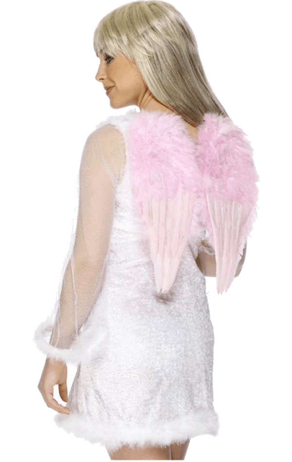 Feather Wings Accessory