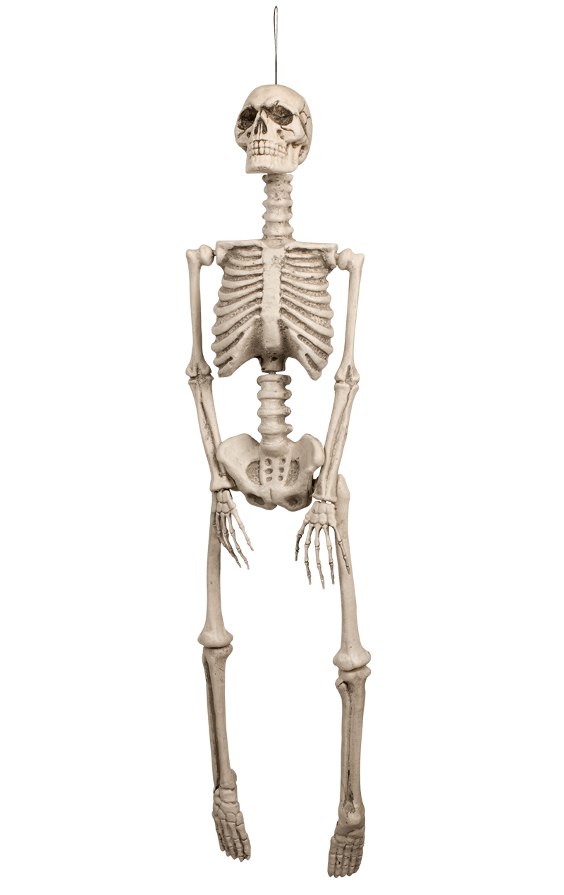 Décoration d'Halloween Squelette