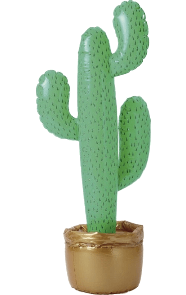Aufblasbare Kaktusdekoration