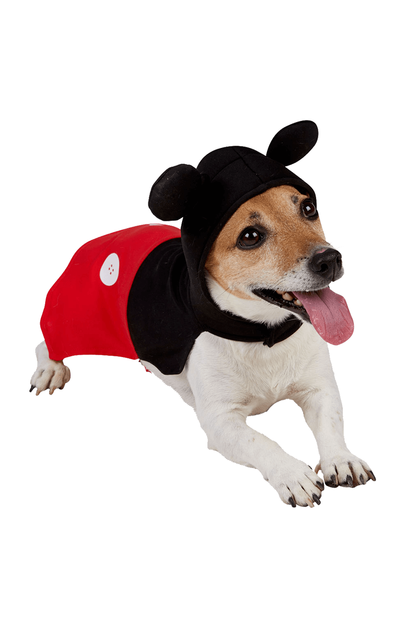 Déguisement Mickey Mouse pour chien