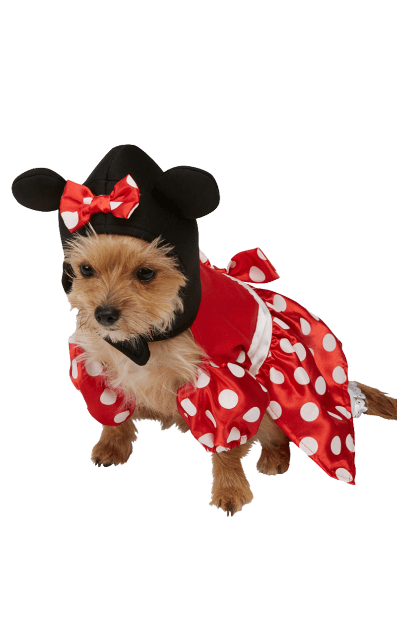 Minnie Mouse Dog Costume