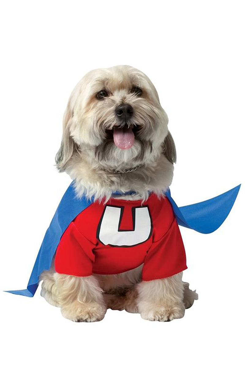 Underdog Superhero Dog Costume