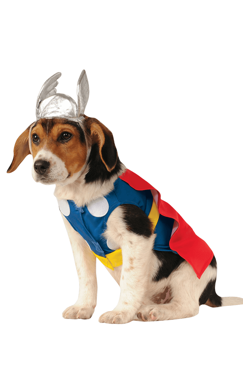 Thor Dog Kostüm