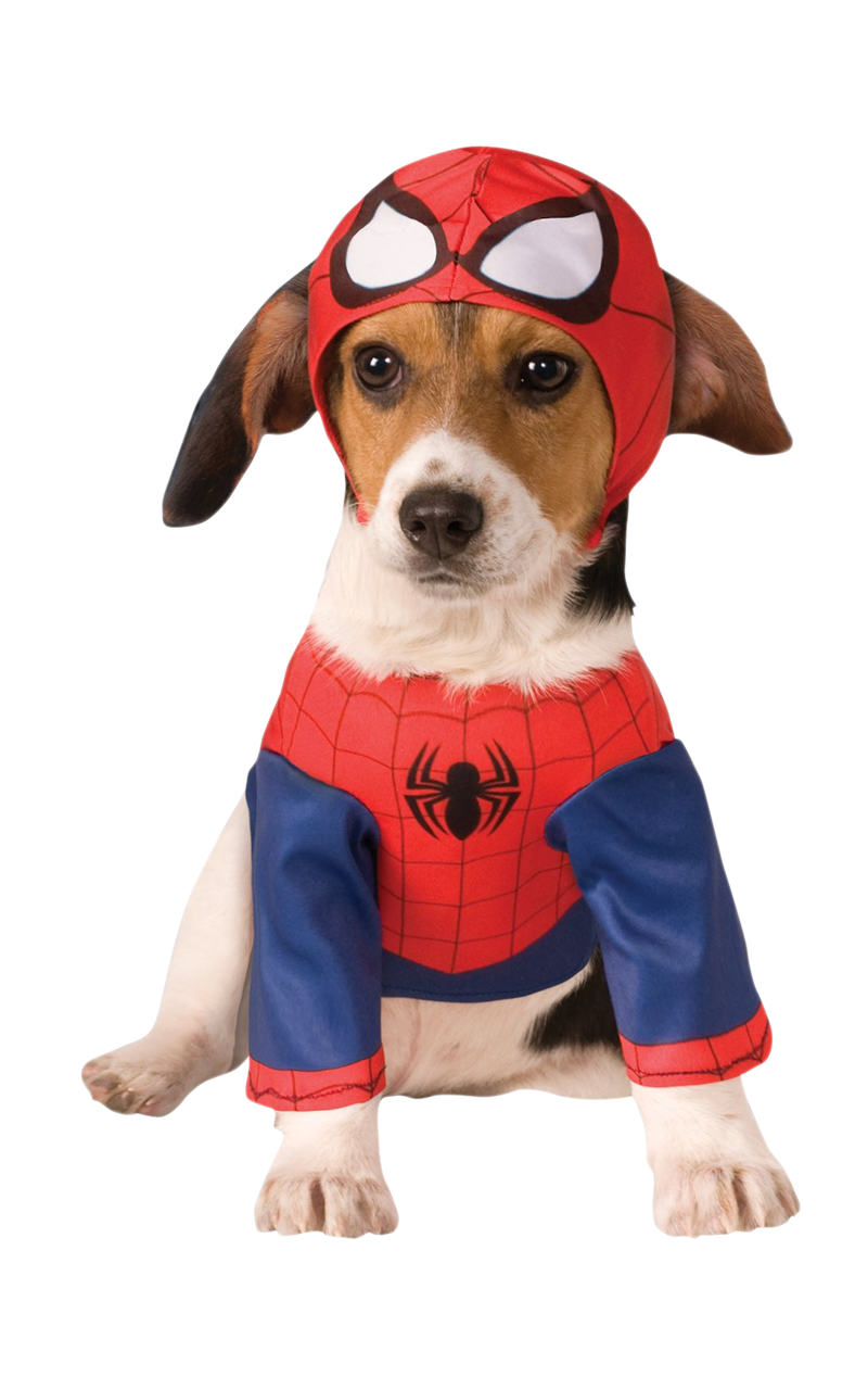 Spider-Man-Hundekostüm