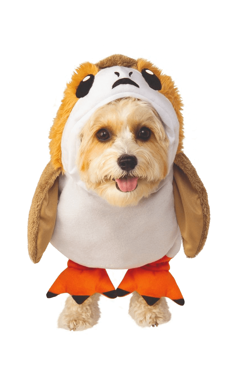 PIRG Hundekostüm