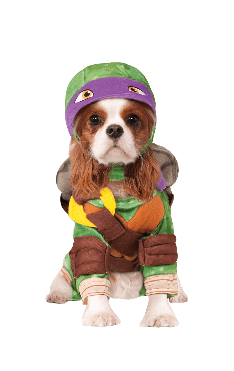 Donatello - Déguisement Tortues Ninja pour chien