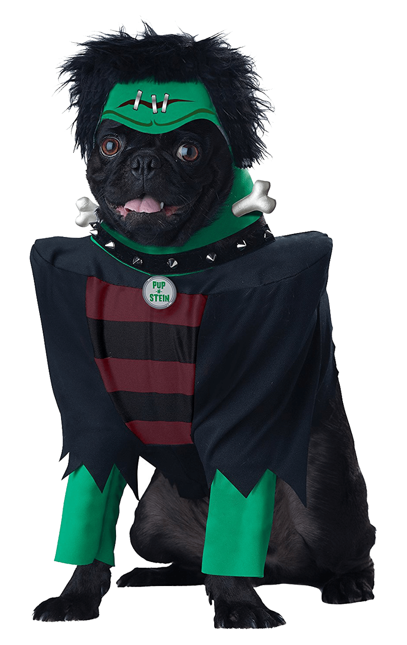 Frankenup Halloween Hundekostüm