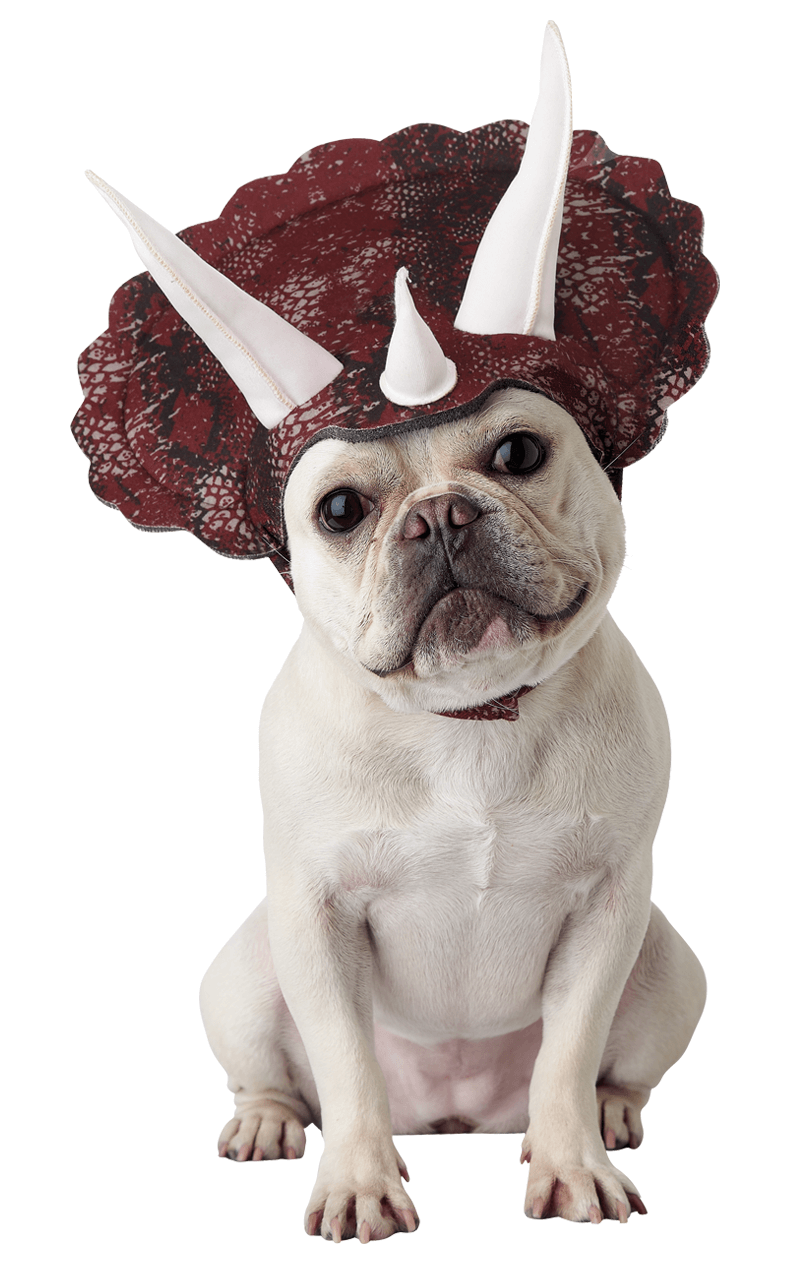 Triceradog -Hundekostüm