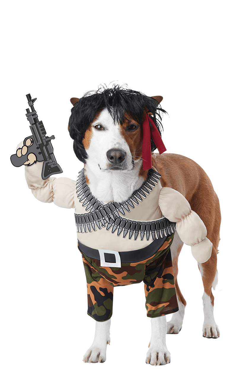 Ram-Knochen-Hundekostüm