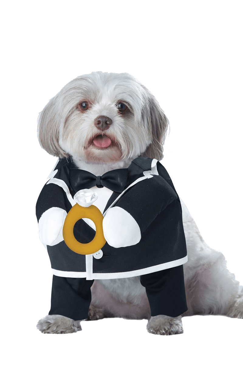 Welpen Bräutigam Hundekostüm