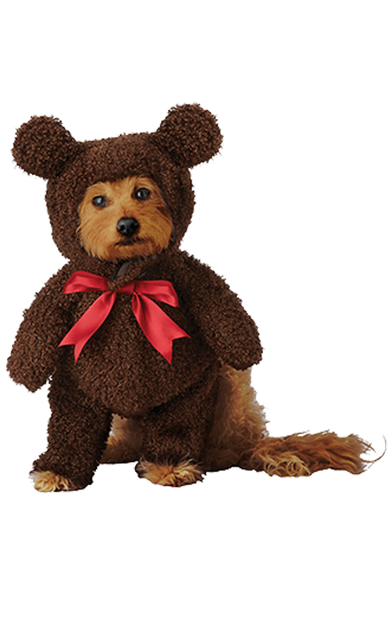 Costume de chien ours en peluche -  