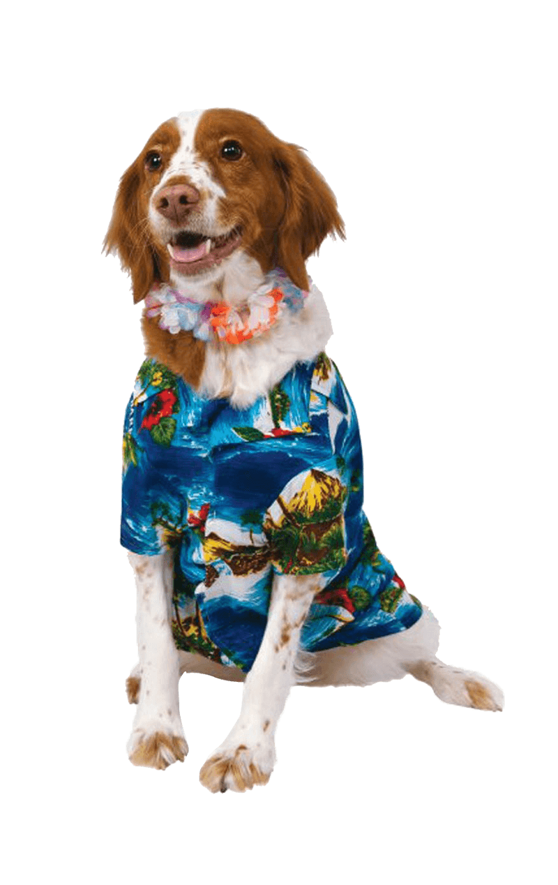 Howliday Hound Dog Costume