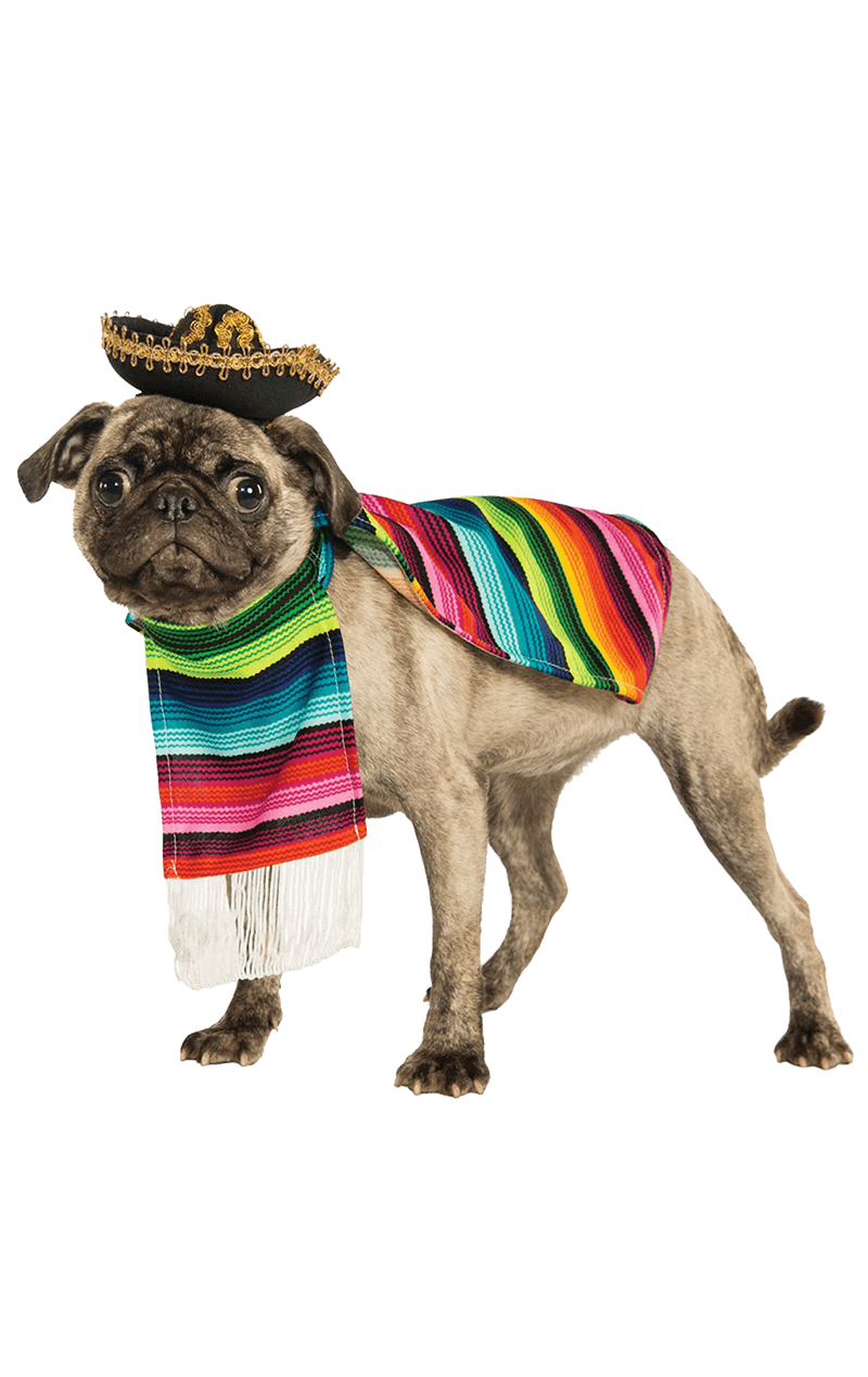 Mexi-canine Dog Costume