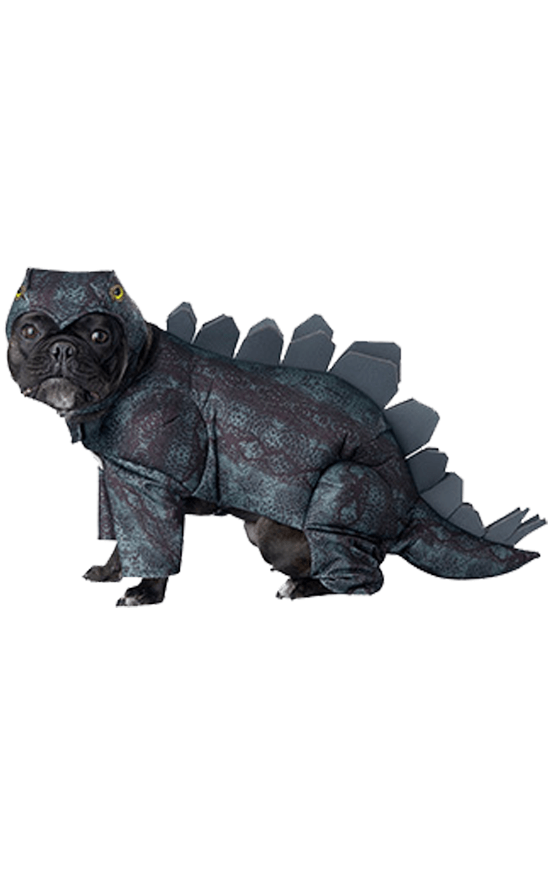 Stegosaurus Hundekostüm