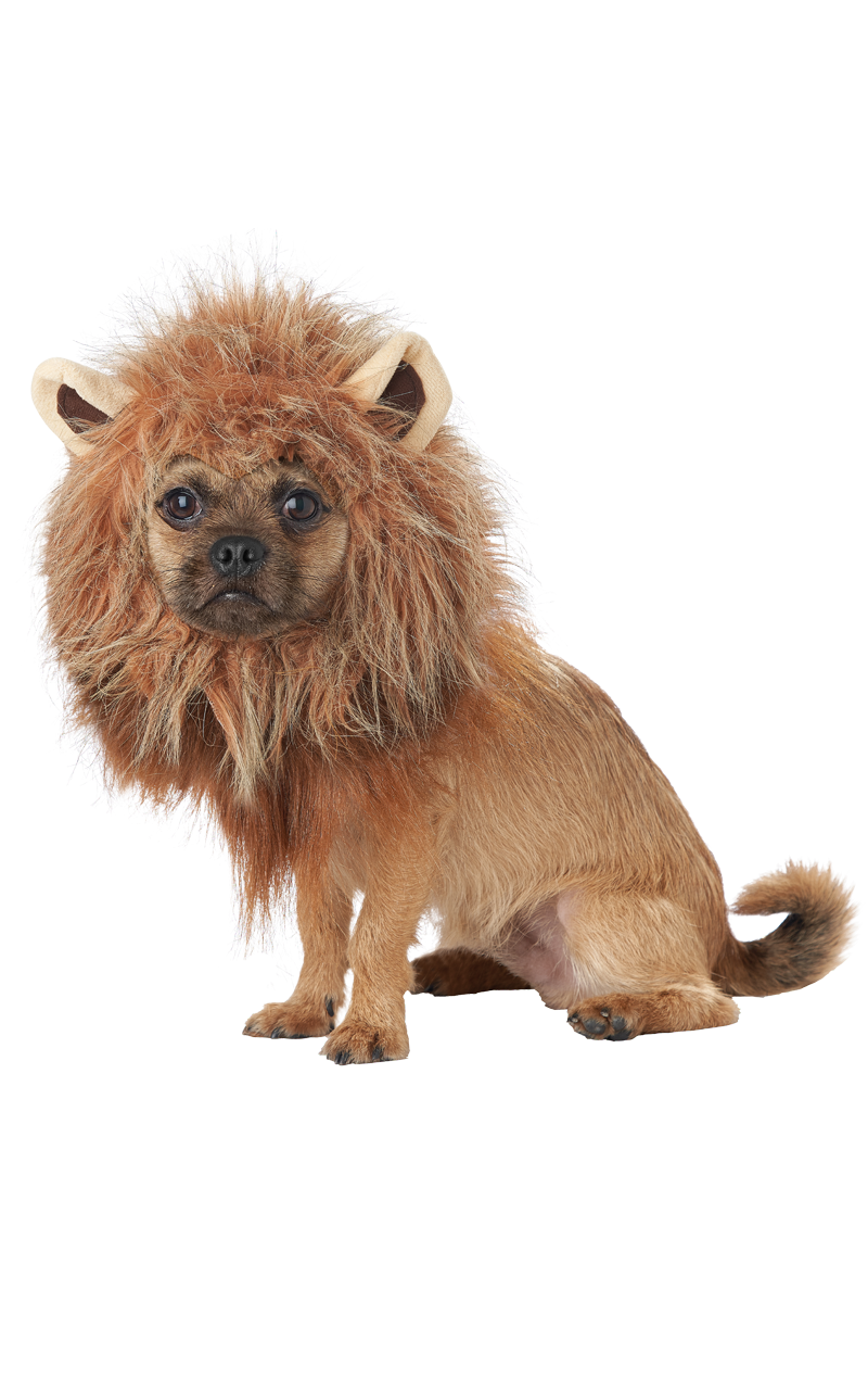 King of the Jungle Dog Costume