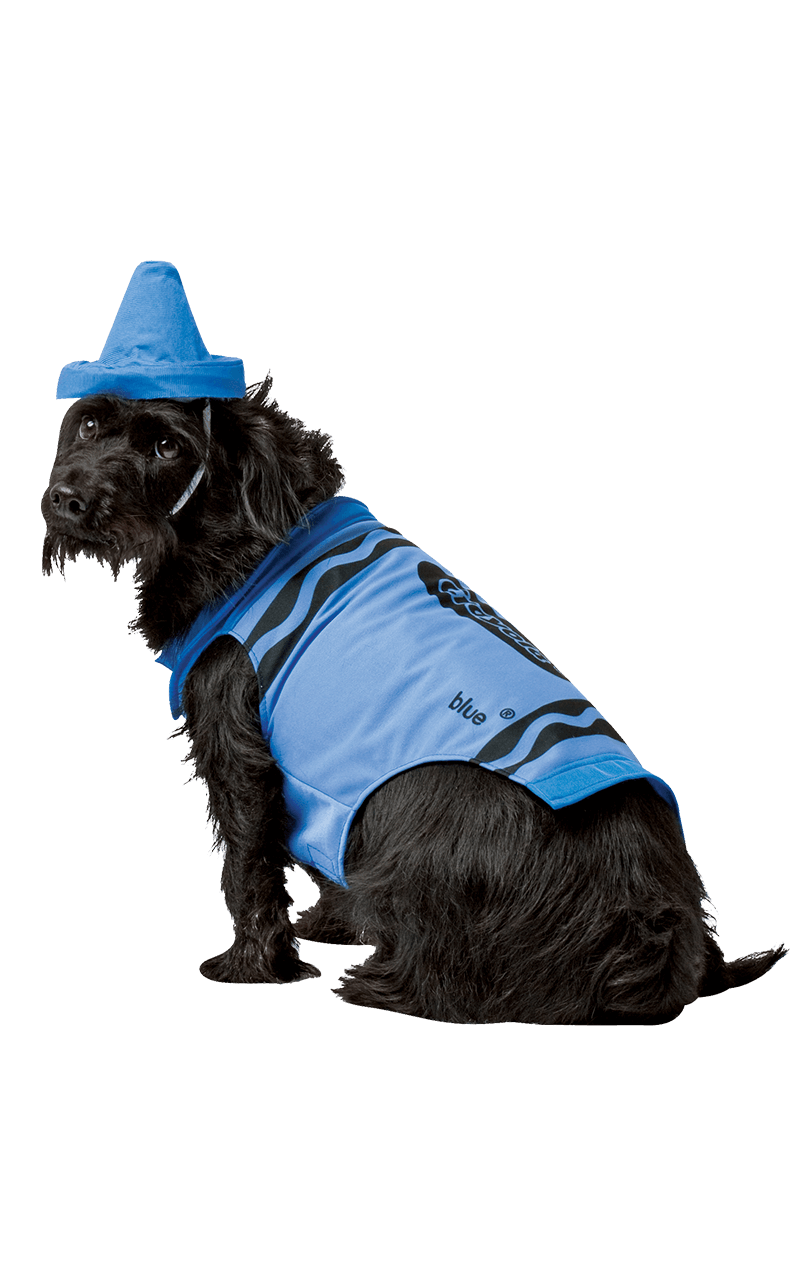 Crayola Blue Dog Costume