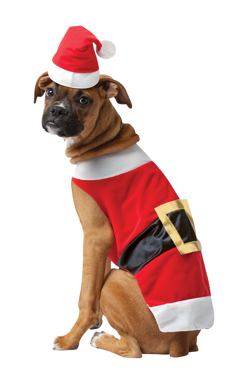 Santa Claws Dog Costume