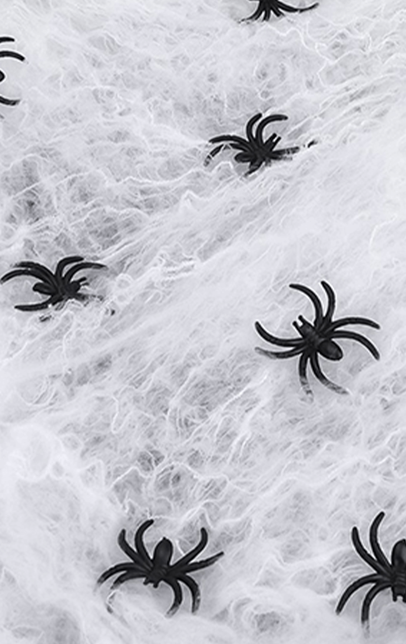 Großes weißes Spinnennetz