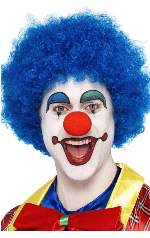 Blue Clown Afro Perücke