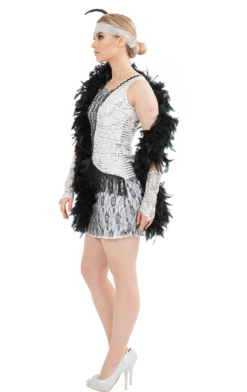 Womens 1920s Silver Flapper Costume
