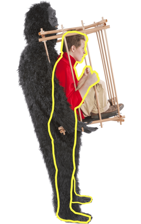 Costume de capture de cage de gorille adulte