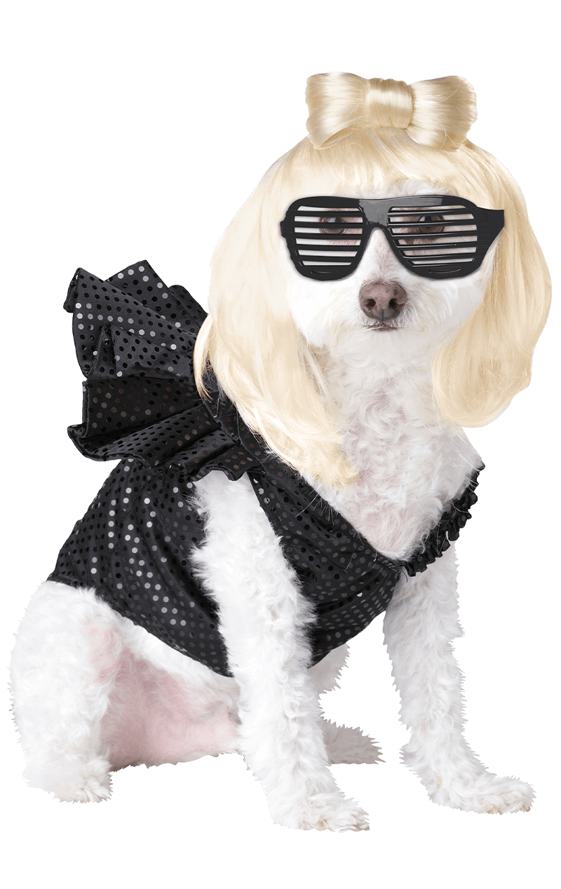Lady Gaga Hundekostüm