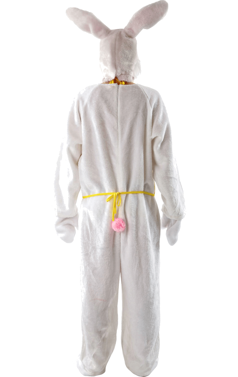 Costume de lapin de pâques pour adultes, mascotte, déguisement d