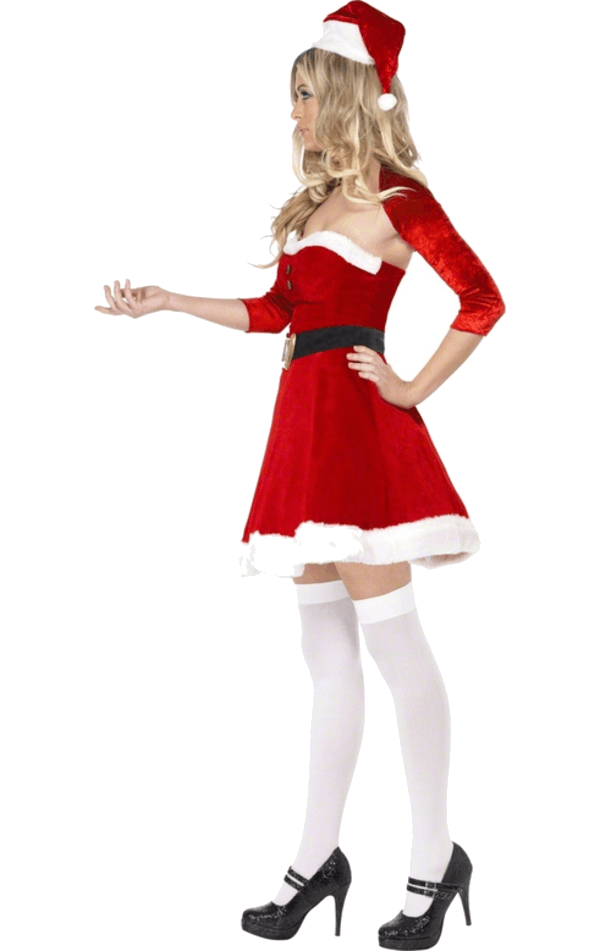 Womens Santa Babe Costume
