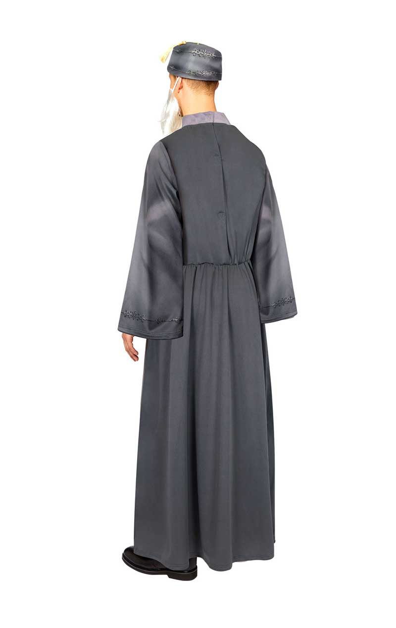 Adult Dumbledore Costume - Fancydress.com