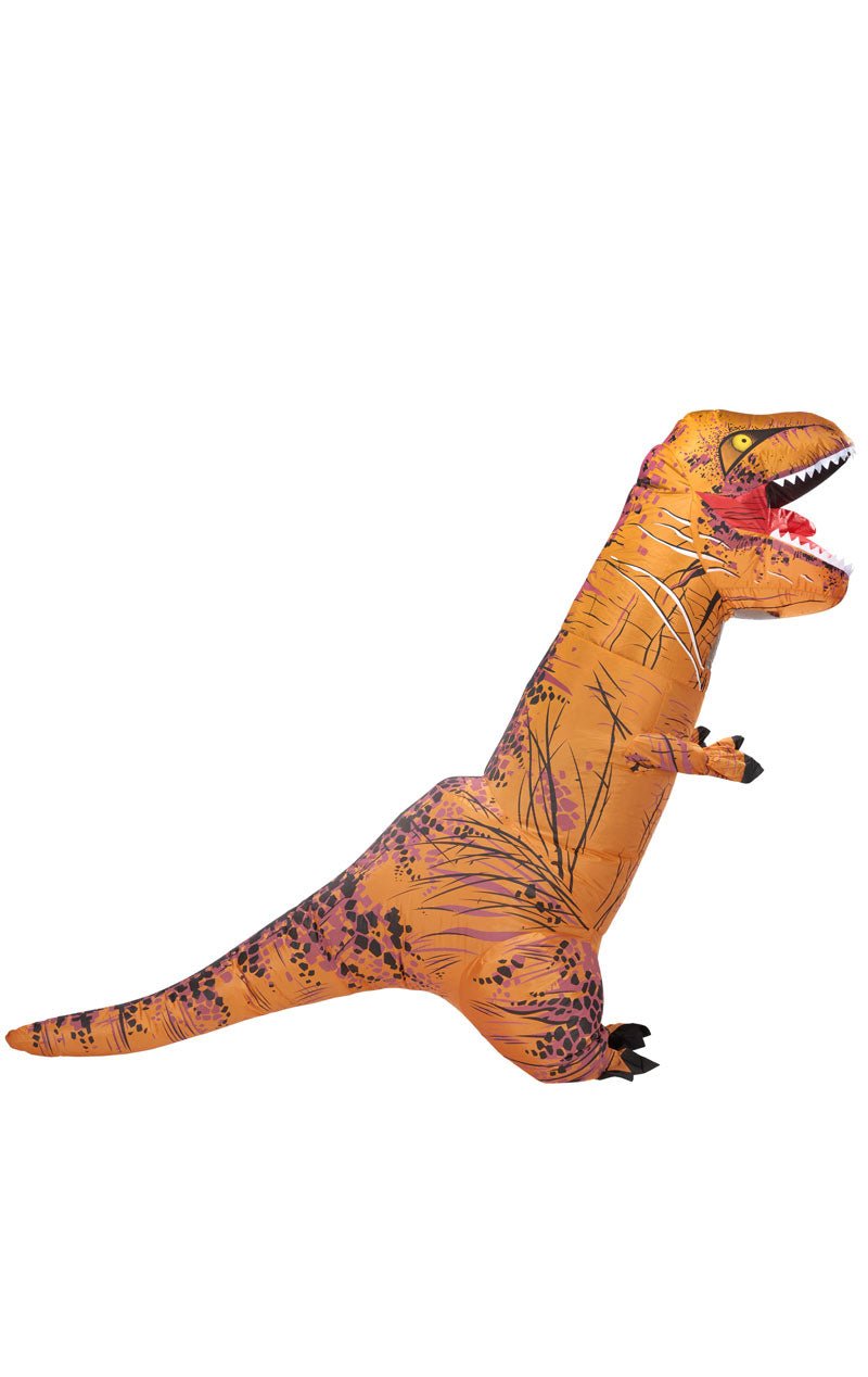Adult Inflatable Dinosaur Costume - Fancydress.com