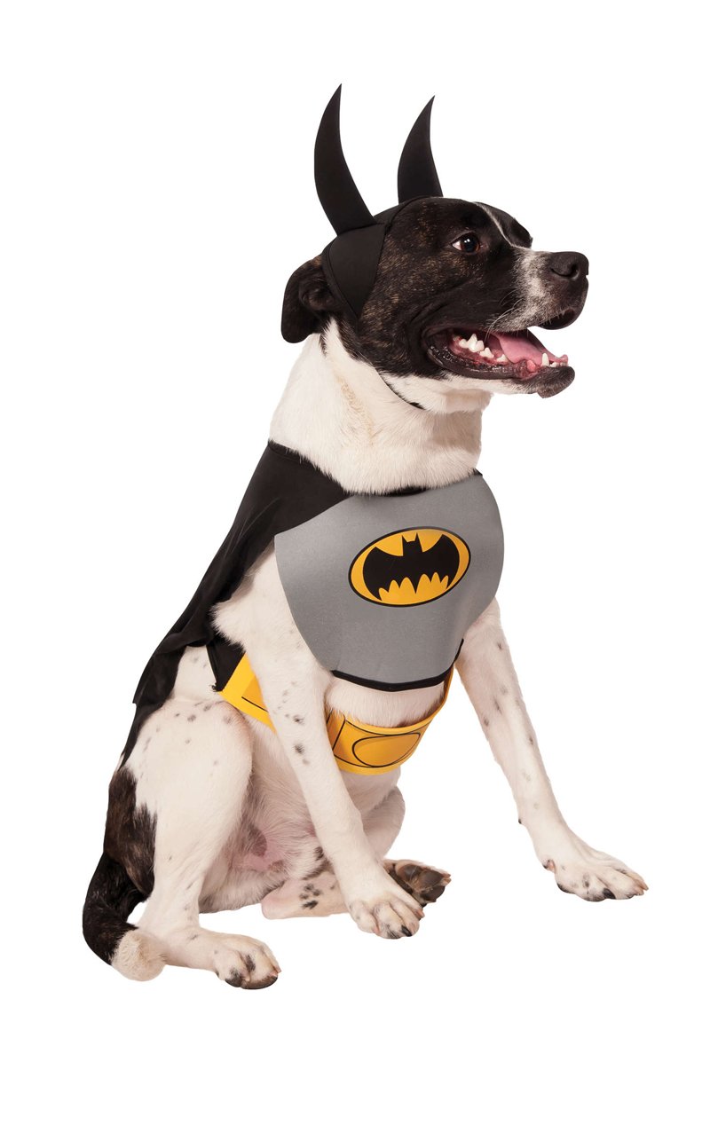 Batman Dog Costume - Fancydress.com
