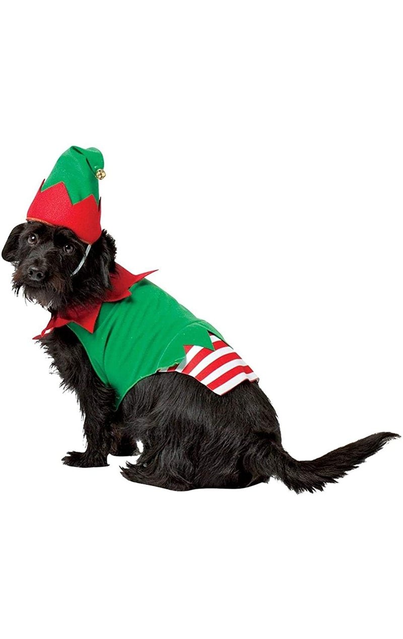 Elf Dog Costume - Fancydress.com
