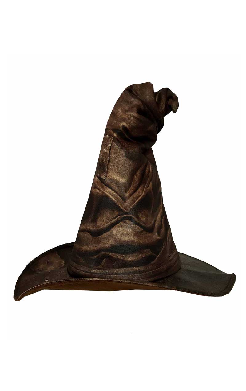 Harry Potter Sorting Hat Accessory - Fancydress.com