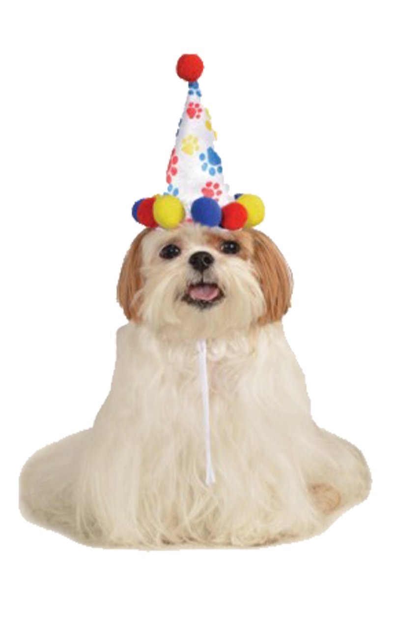 Pawty Animal Dog Hat - Fancydress.com