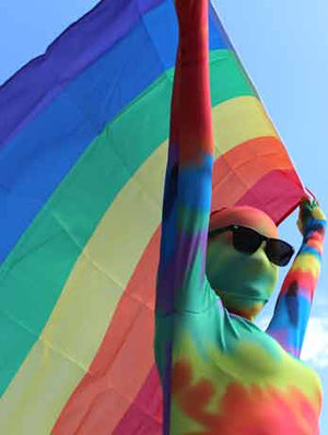 Rainbow Flag Decoration - Fancydress.com