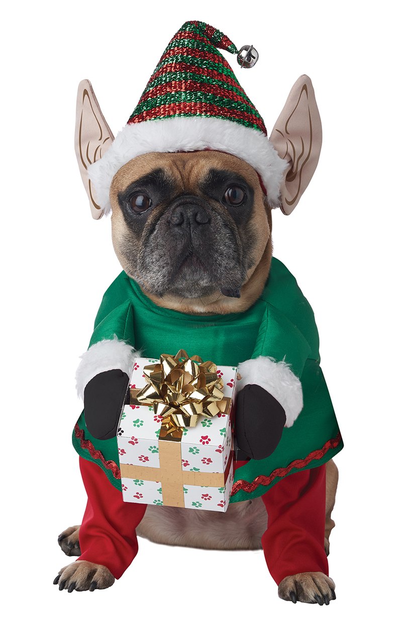 Santas Little Yelper Dog Costume - Fancydress.com