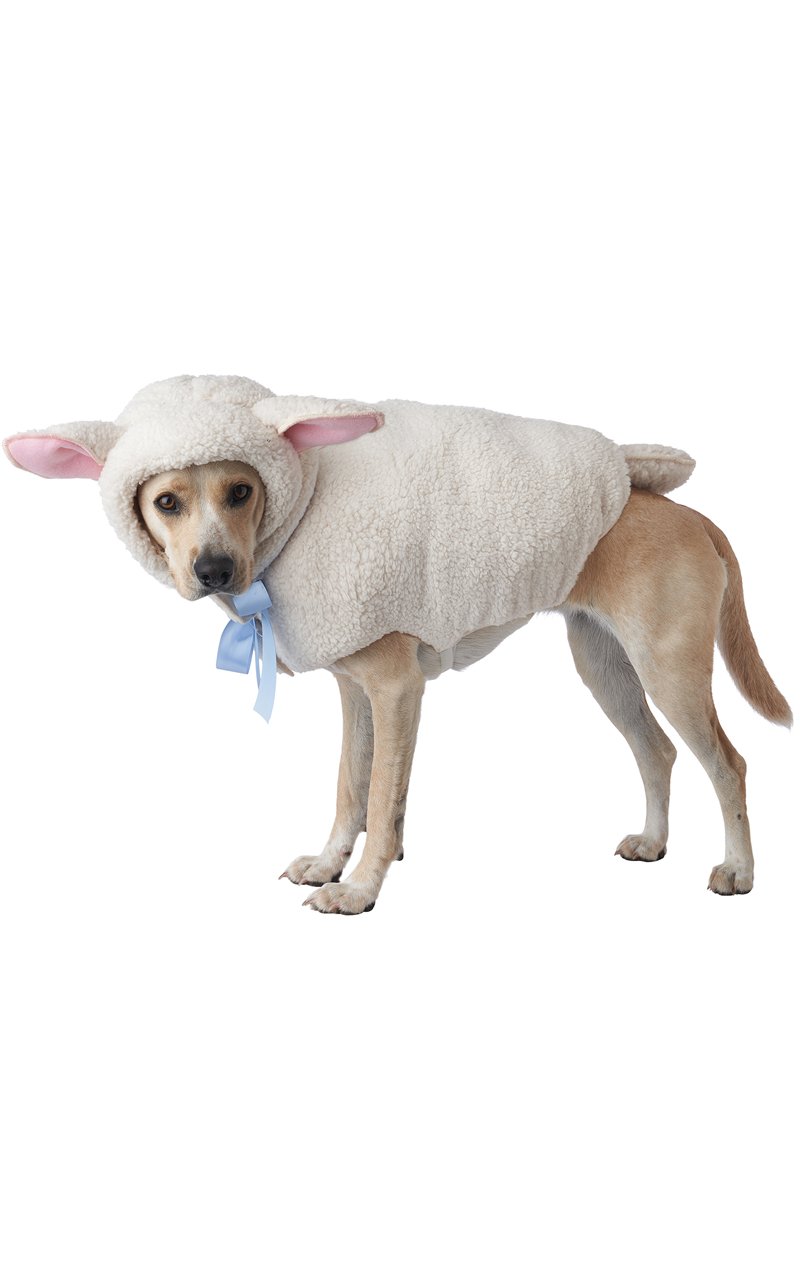 Sheep Dog Costume - Fancydress.com
