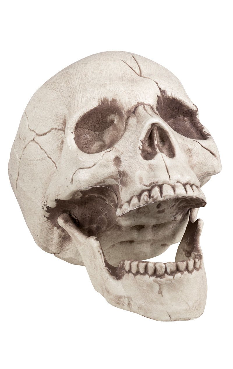 Skull Jawbone with Movable Jaw Accessory - Fancydress.com
