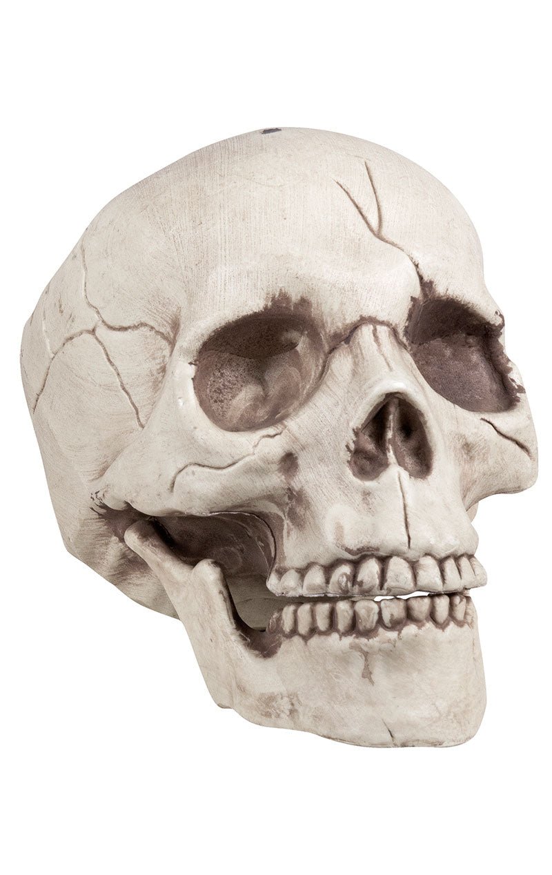Skull Jawbone with Movable Jaw Accessory - Fancydress.com